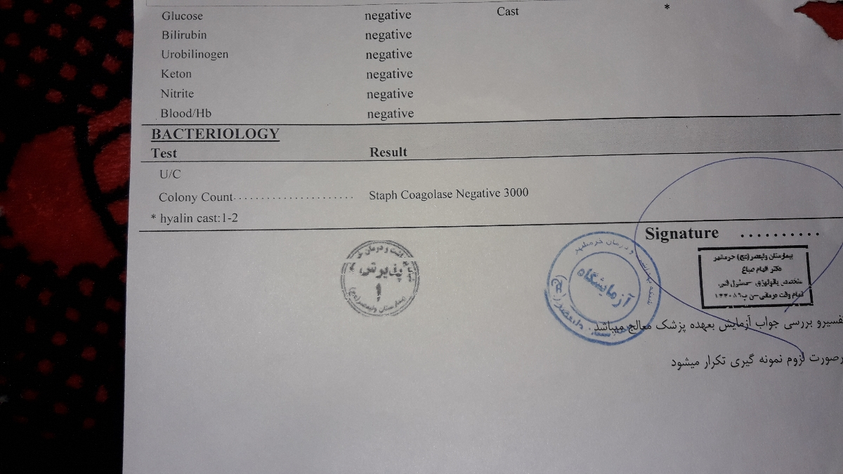 تفسیر جواب آزمایش بارداری