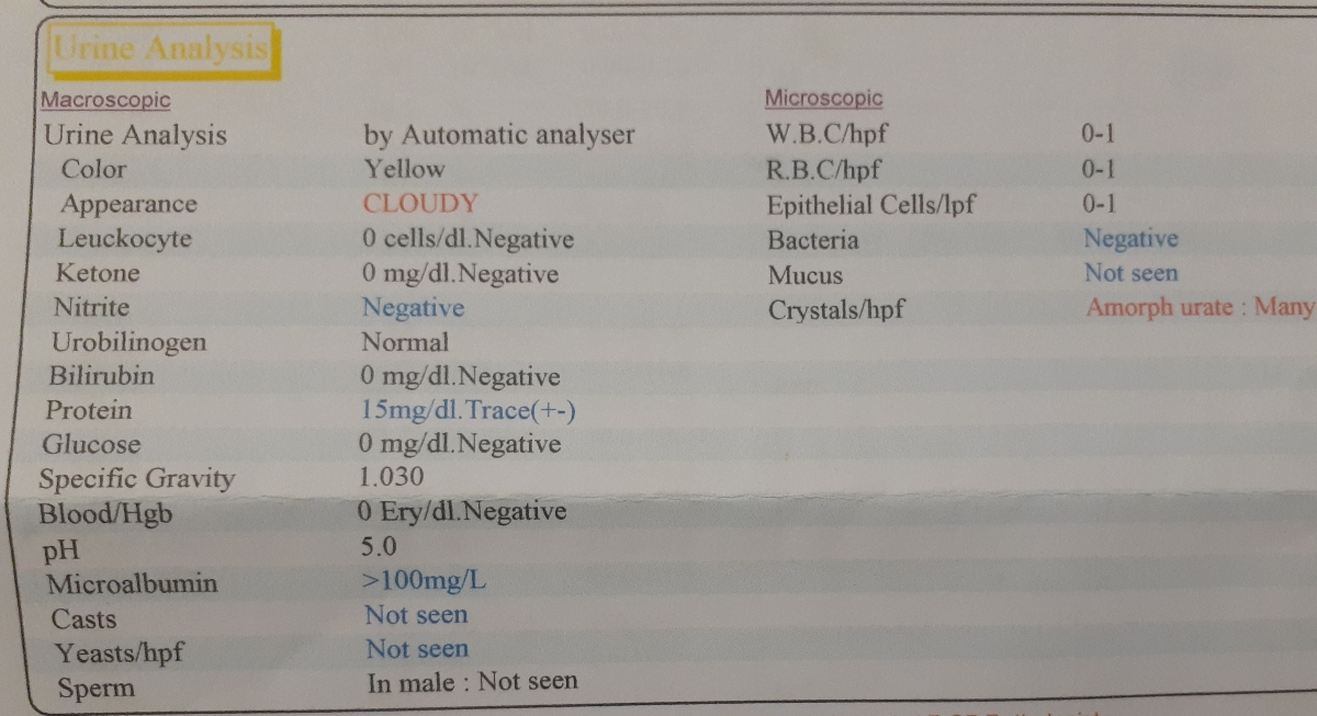 سلام دکتر عزیز لطفا آزمایش ادرار من رو تفسیر کنید...