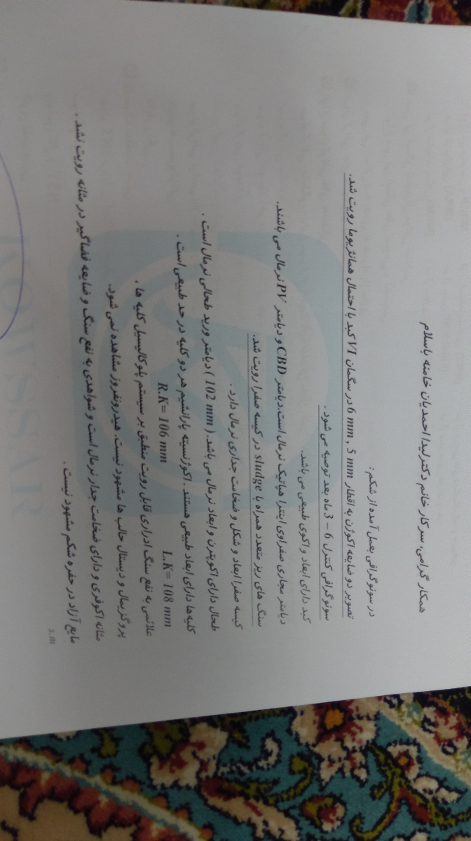 سلام سونو کبد و کلیه و .... در بارداری