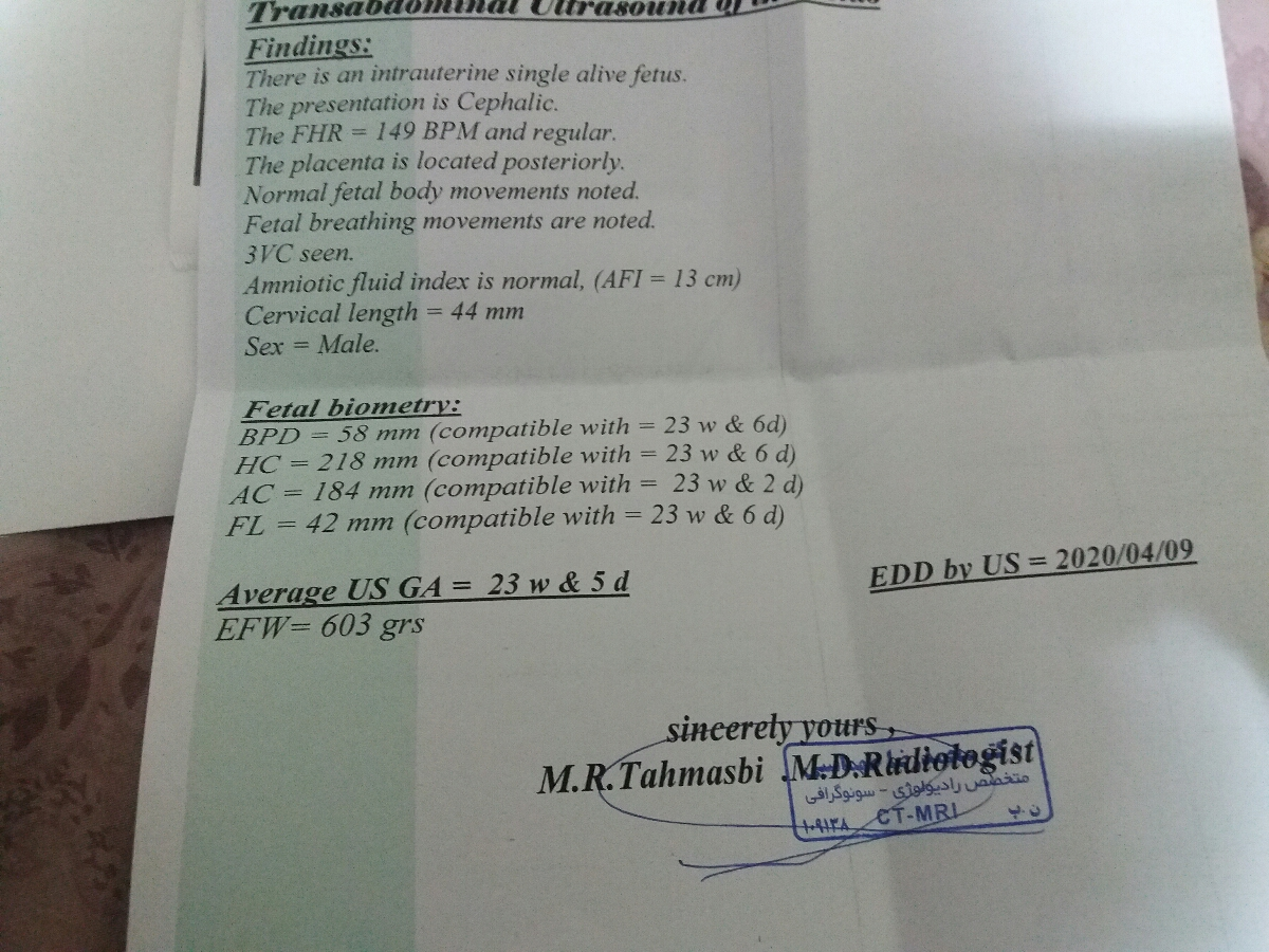 تفسیر سونو در 23 هفته