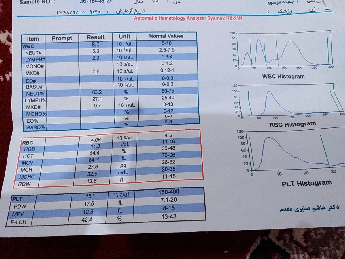 تفسیر ازمایش بارداری