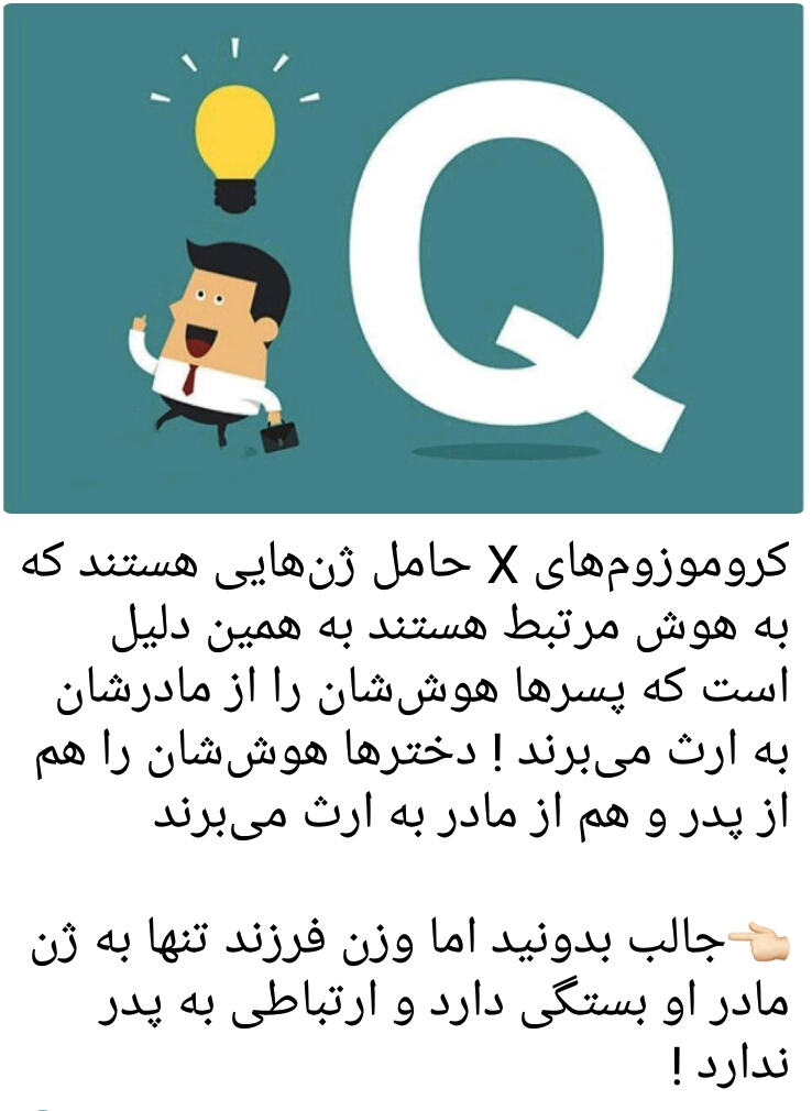 هوش کودک و کروموزم ایکس هوش کودک و کروموزم ایکس