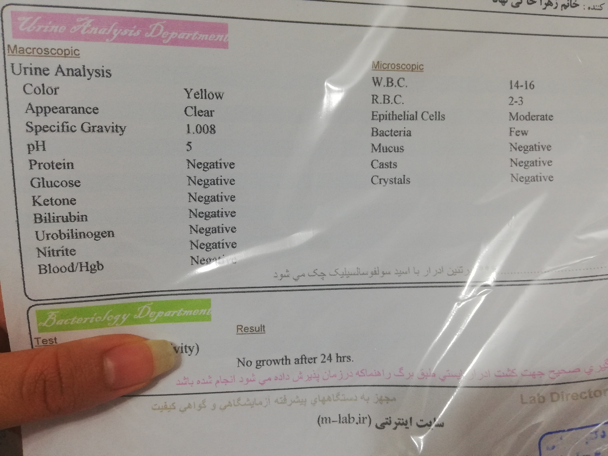 تفسیر ازمایش کشت ادرار