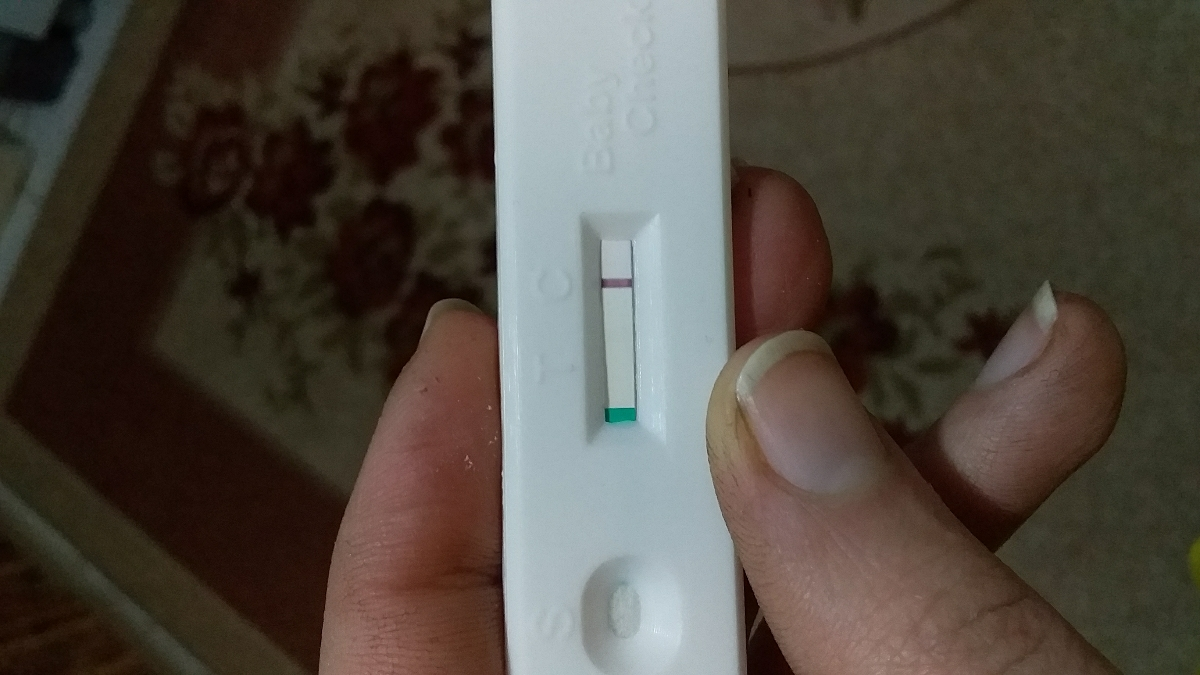 بی بی چک+عکس هاله داد بی بی چک+عکس هاله داد