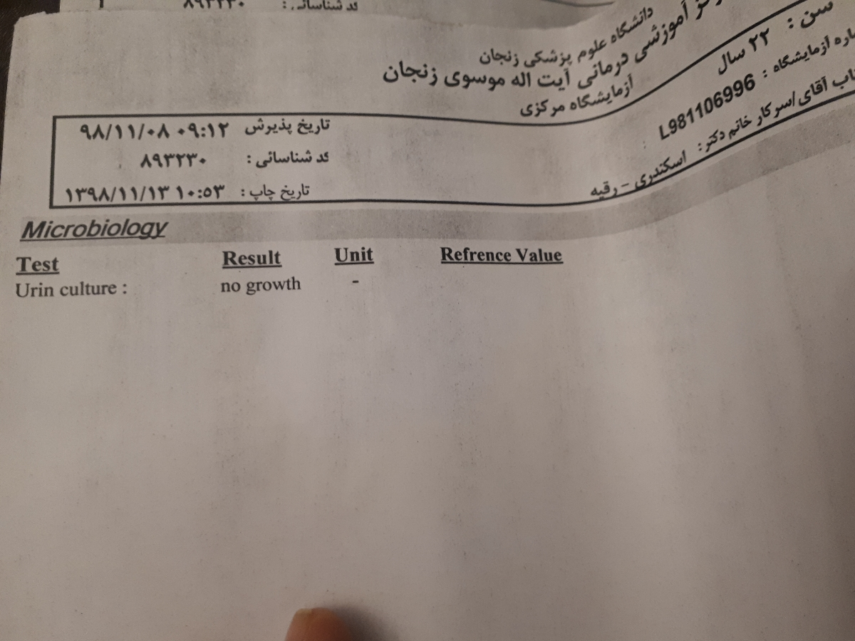 تفسیر آزمایش بارداری عکس