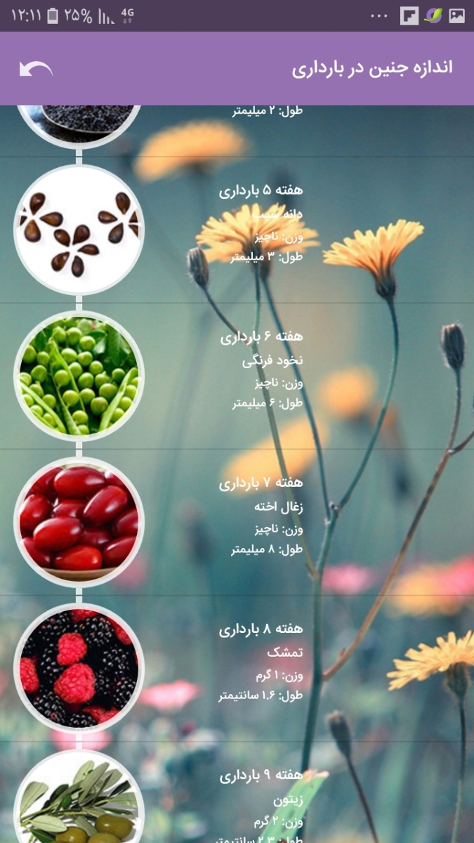 سونو هفته ششم بارداری