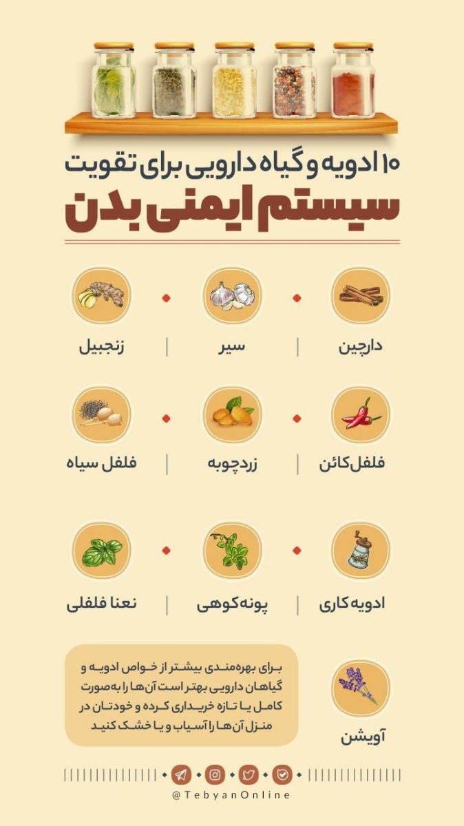 سیستم ایمنی بدن و بارداری سیستم ایمنی بدن و بارداری