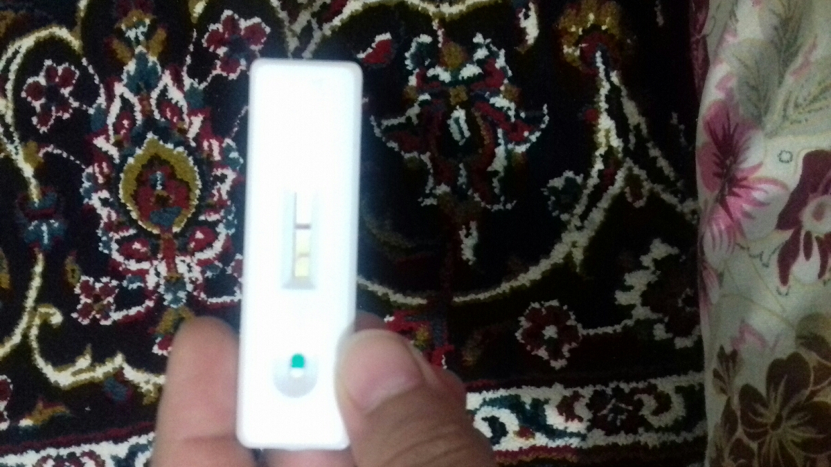 حامله لایه گزینی حامله لایه گزینی