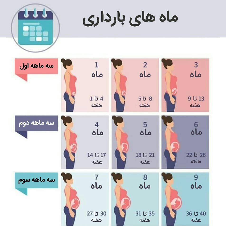 ماه 8 بارداری ازچند هفته تاچندهفته تشکیل میشه؟؟؟؟؟؟ ماه 8 بارداری ازچند هفته تاچندهفته تشکیل میشه؟؟؟؟؟؟
