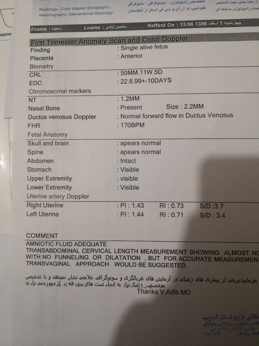 💖💖شریان های رحم آیا مقاوم هستن؟ 💖💖