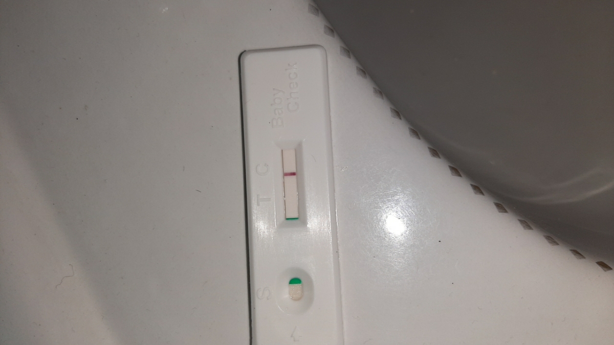 بی بی چک و بارداری