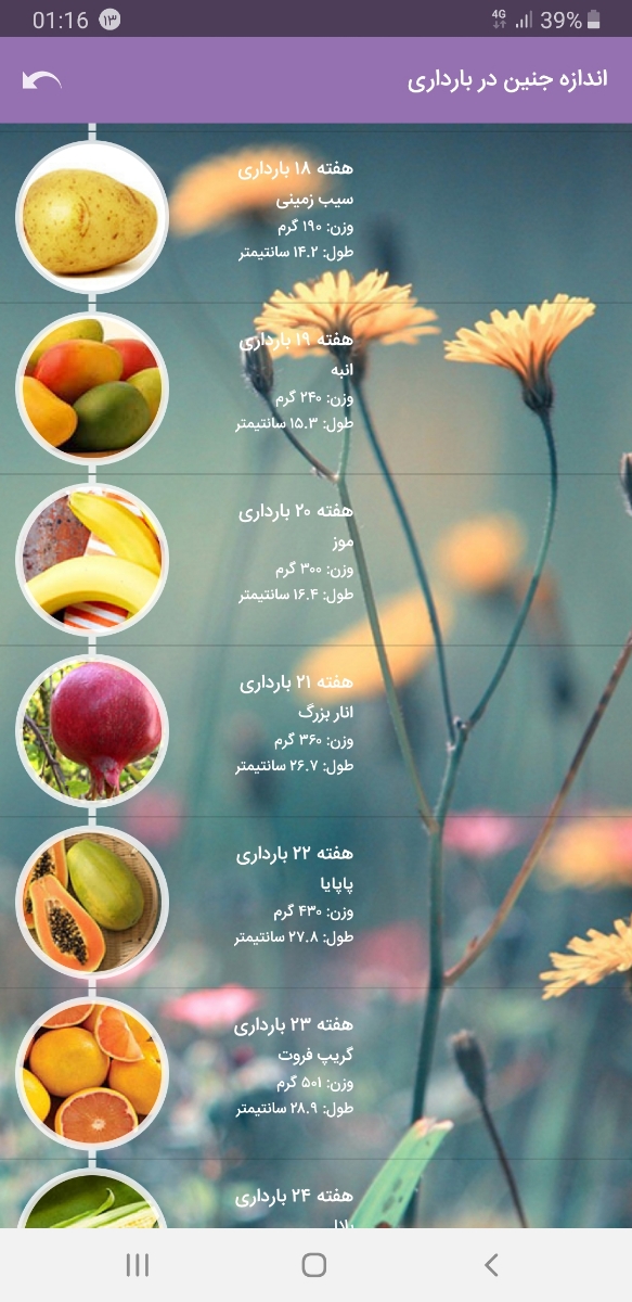 افزایش وزن در بارداری
