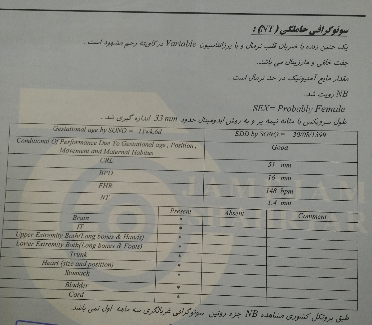 سونو گرافی غربالگری اول
