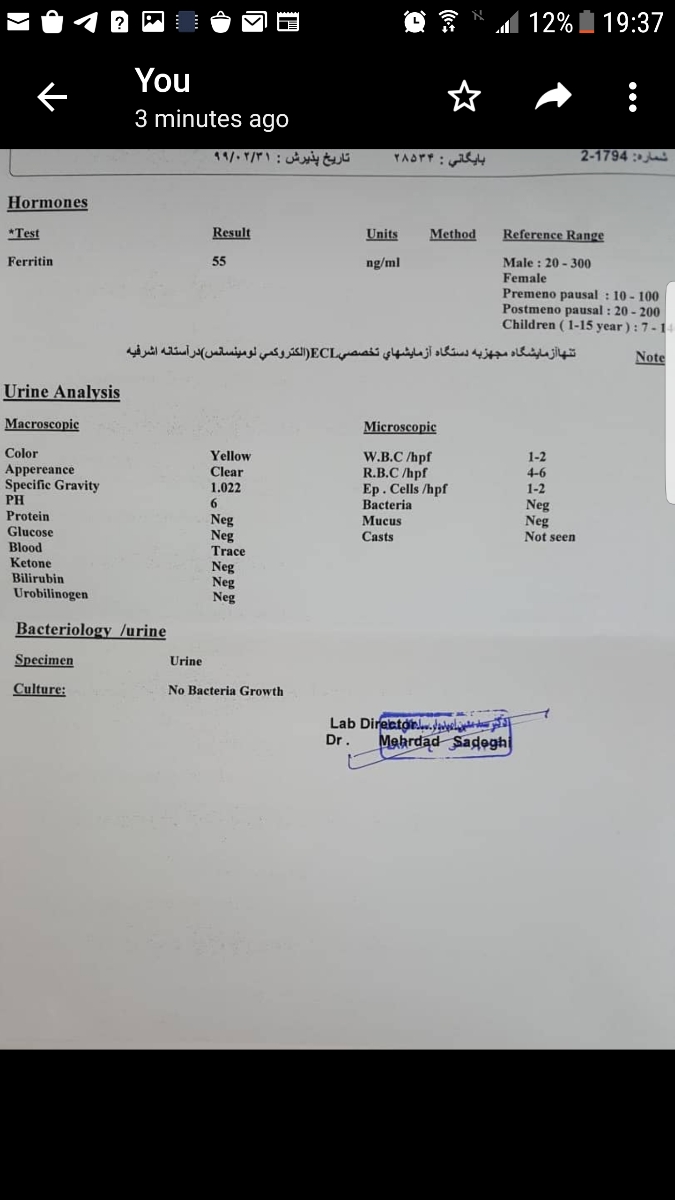 جواب ازمایش خون غربالگری جواب ازمایش خون غربالگری