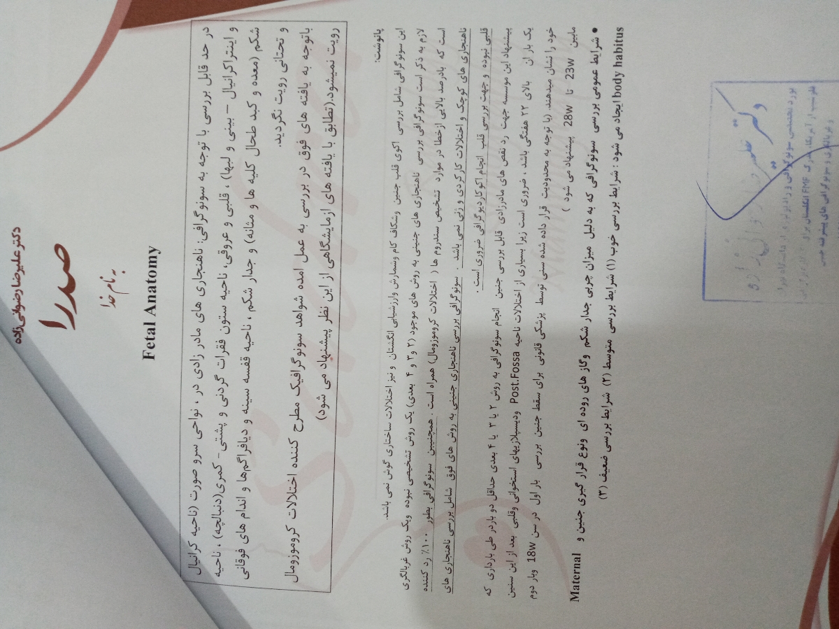 پزشک عزیز اوما ، تفسیر سونو داپلر لطفا😊😊😊