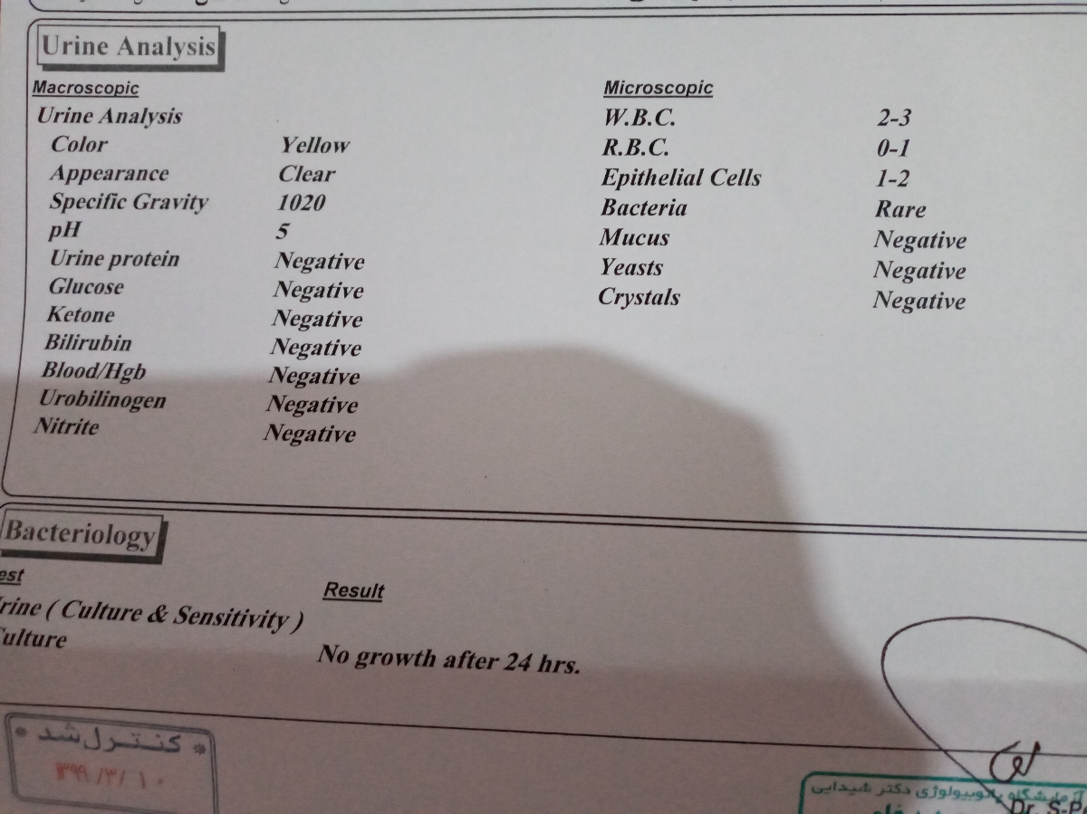 آزمایش دوران بارداری