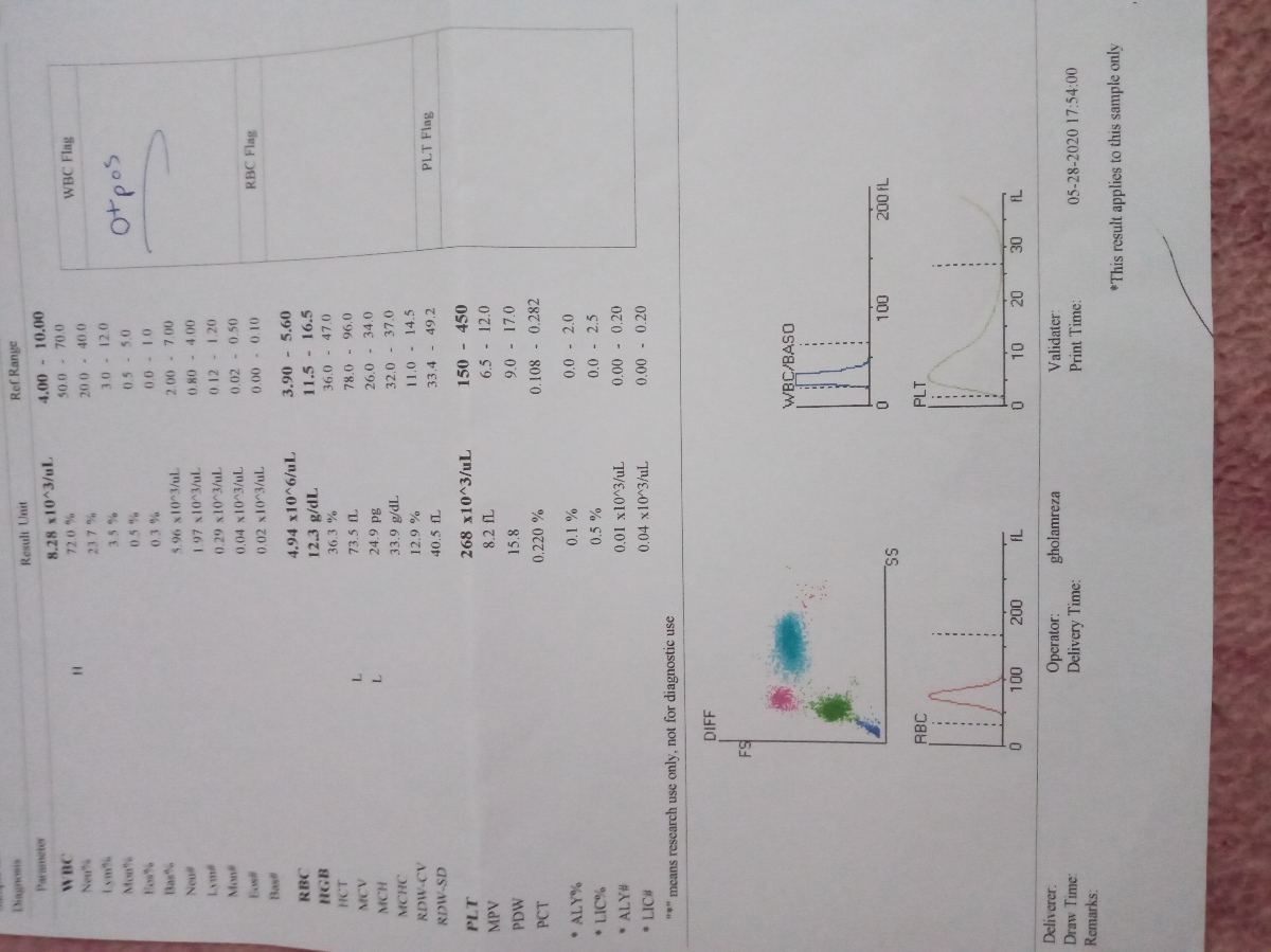 آزمایش دوران بارداری
