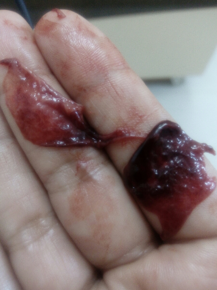 عکس گذاشتم هرکی بدش میادنیادکمک لطفا عکس گذاشتم هرکی بدش میادنیادکمک لطفا