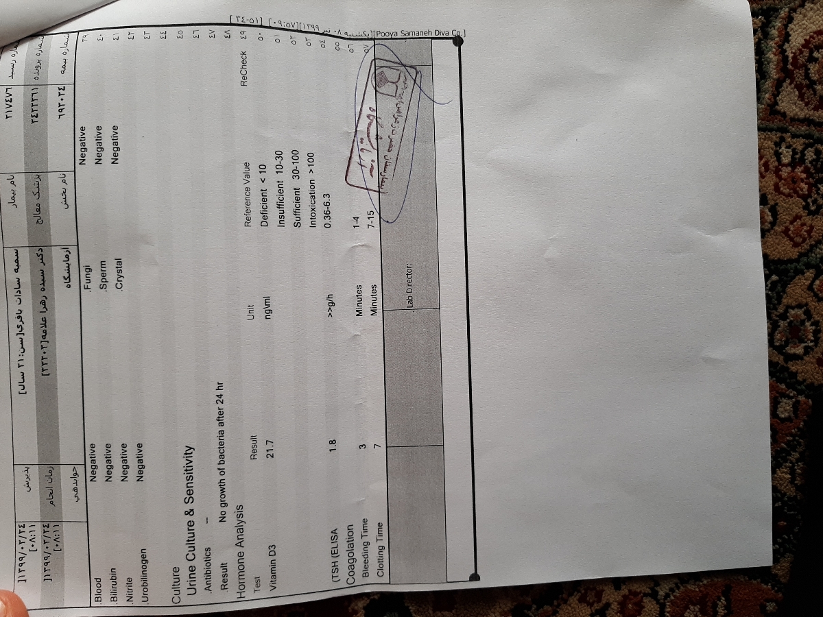 لطفا ببینیدازمایشم چطور لطفا ببینیدازمایشم چطور