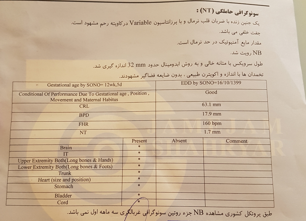 تفسیر سونوگرافی nt وnb