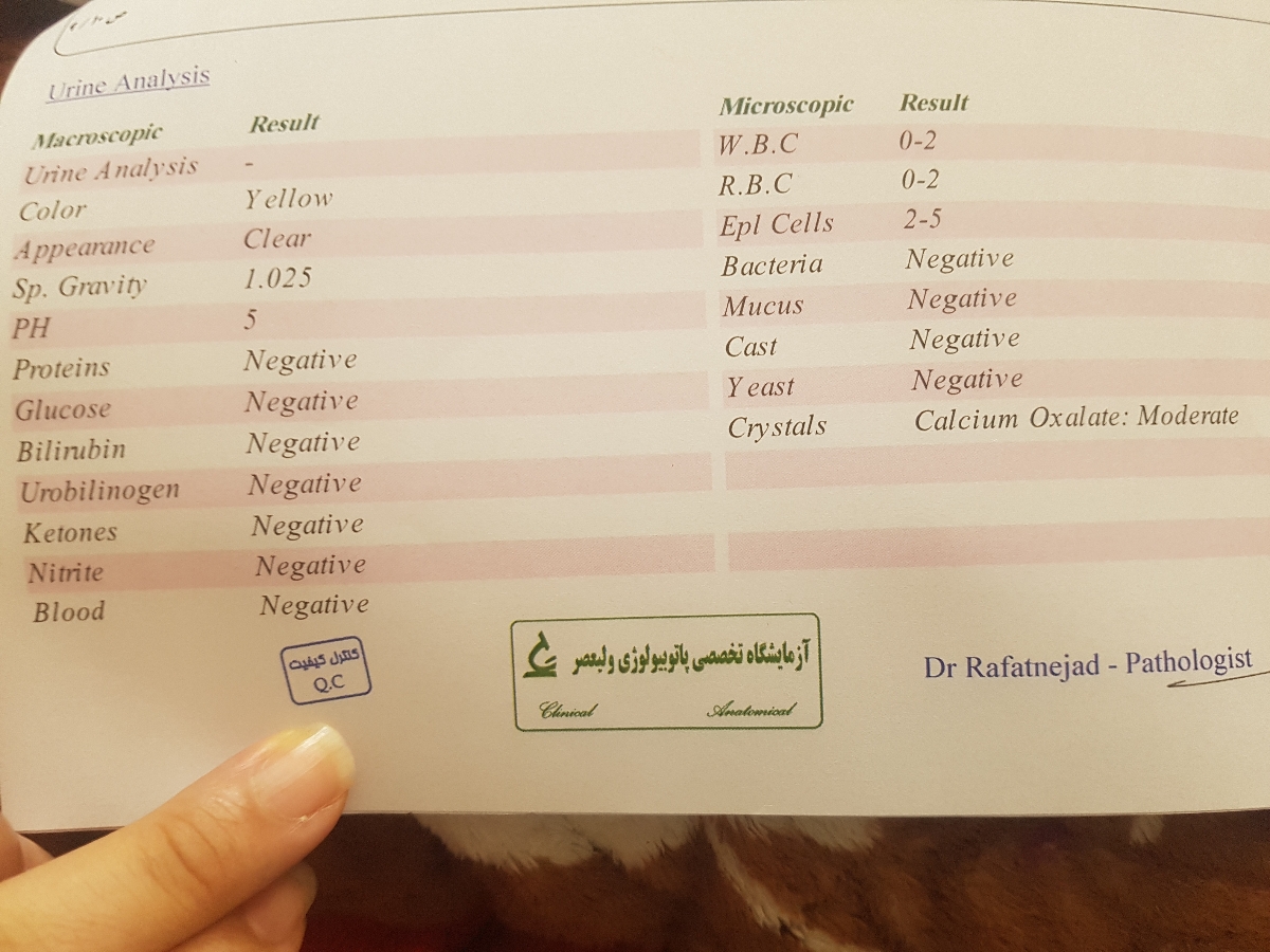 تفسیر آزمایش غربالگری