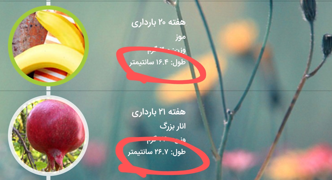 لطفاً به سوال من جواب بدید