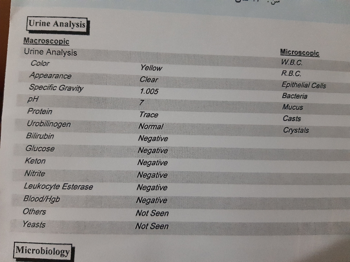 آزمایش عفونت ادرار بارداری