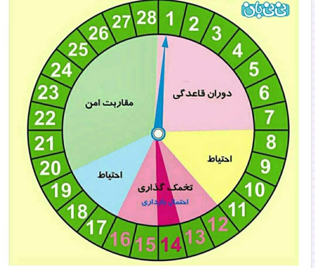 سلام خانما برای زیبایی جنین و پسر ودخترشدنش ازقبل بارداری چی بخورم خودم وشوهرم؟