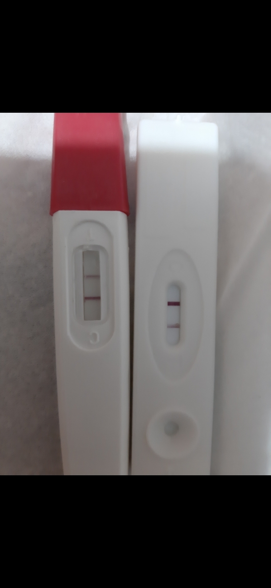 بی بی چک خودکاری رودس واقعا مثبته ???