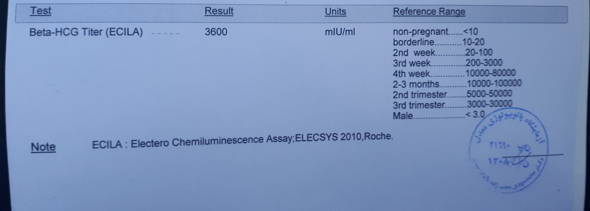 تفسیر جواب آزمایش بارداری