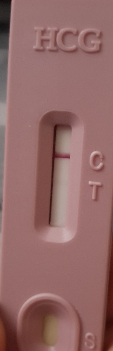 بی بی چک حاله دار؟!