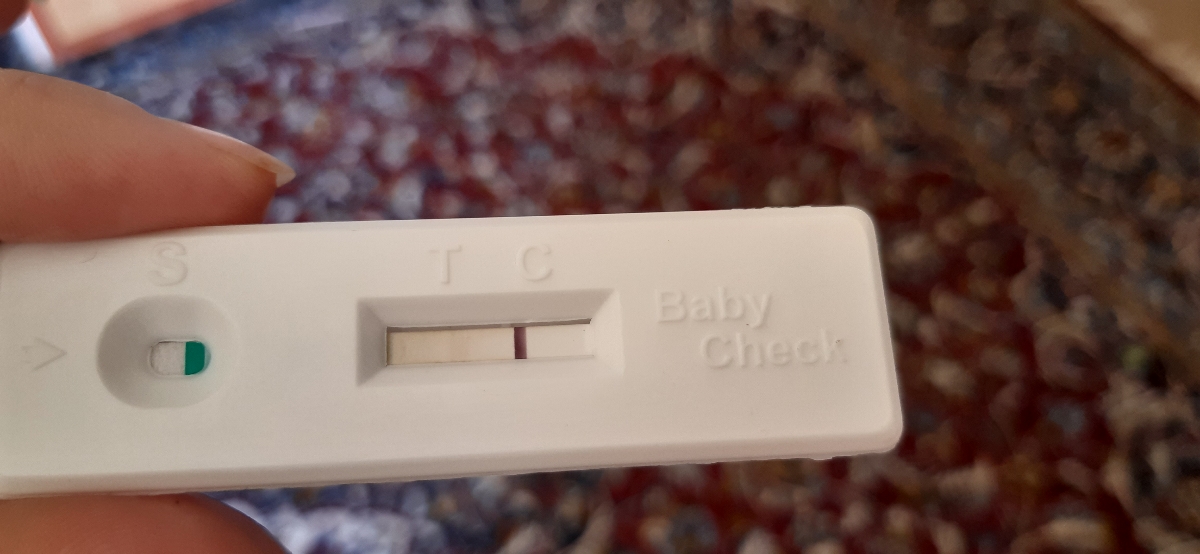 بی بی چک حاله دار؟!