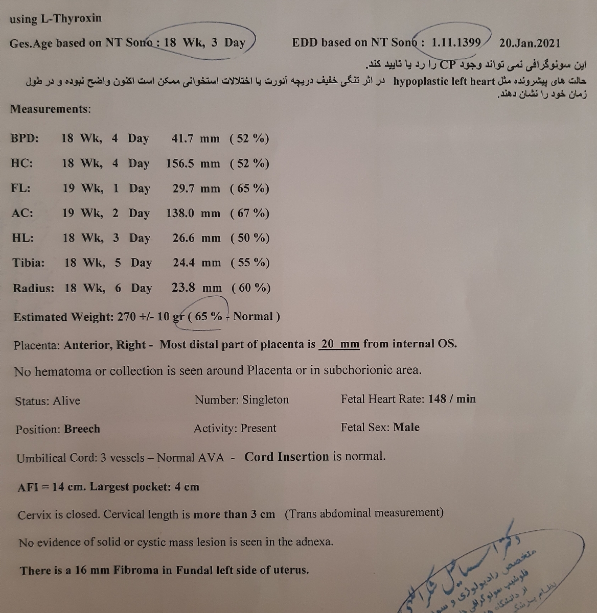 تفسیر‌ سونوی آنومالی ......؟؟؟؟؟؟؟