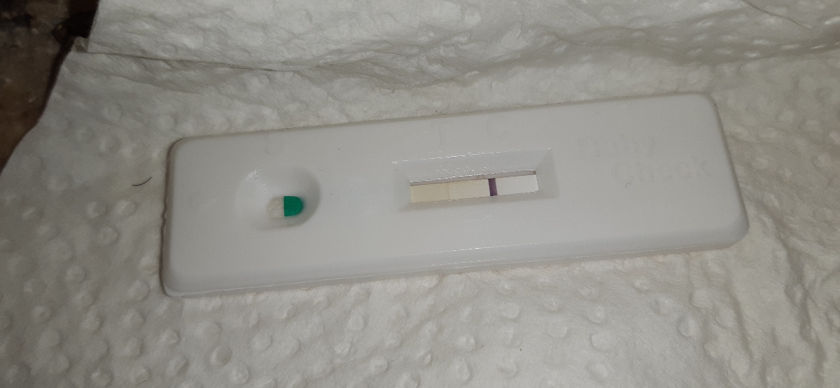 بی بی چک.اقدام.بارداری.مثبته؟ب نظرتون؟