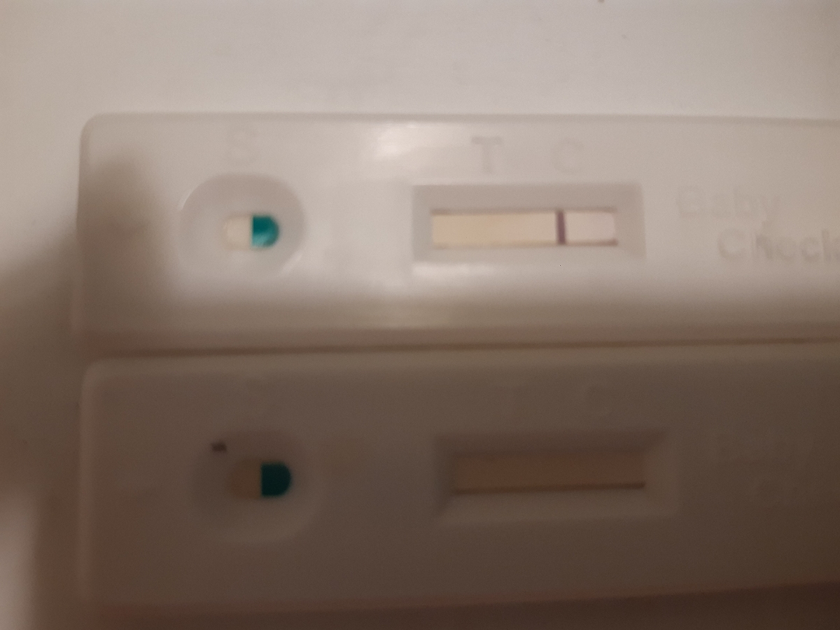 بی بی چک مثبت یا تاثیر سقط