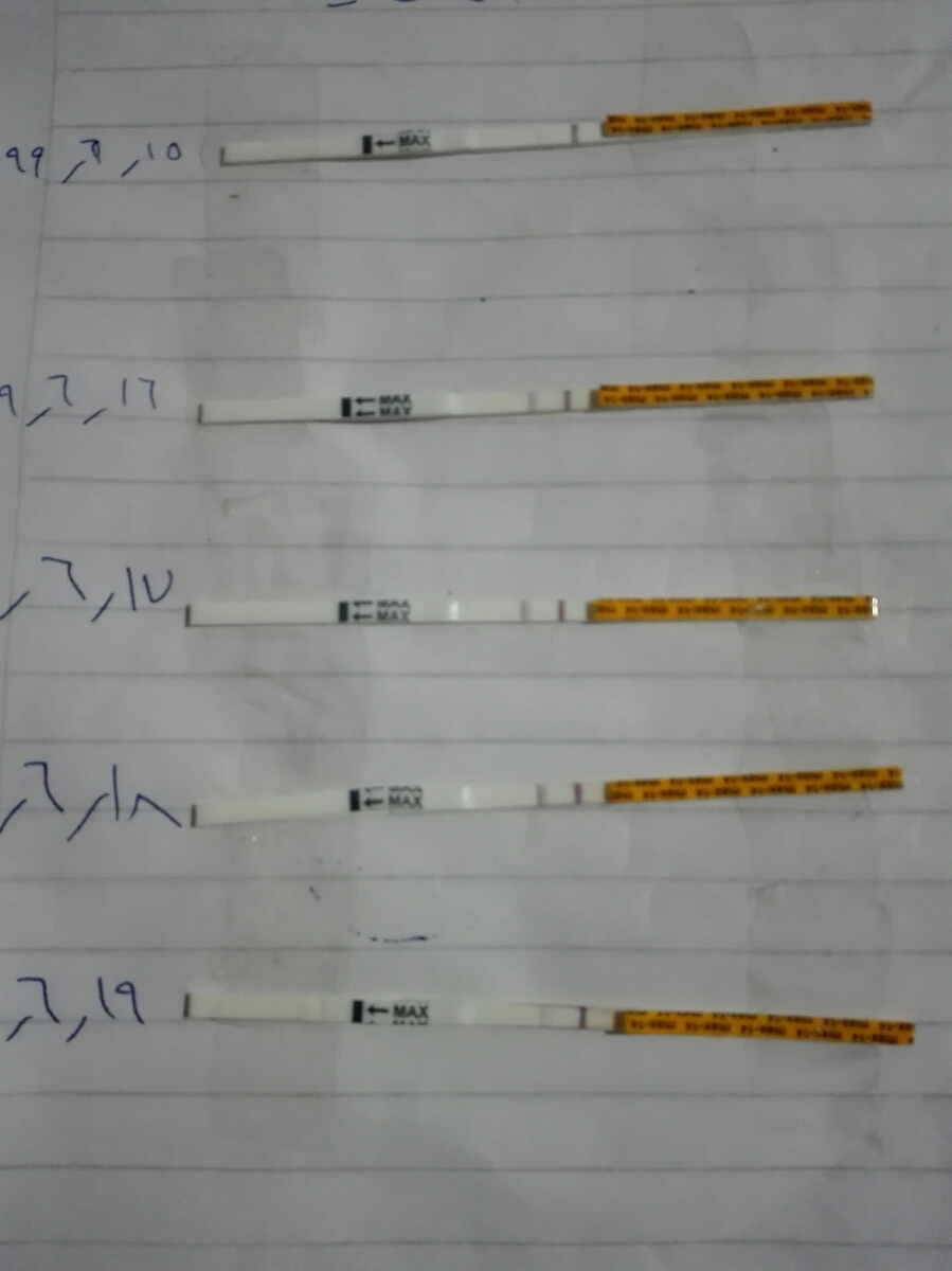 لطفا کیت تخمک گذاری منو ببینید و نظر بدین لطفا کیت تخمک گذاری منو ببینید و نظر بدین