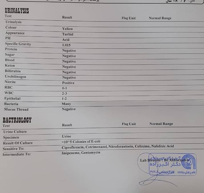 تفسیر جواب آزمایش ادرار