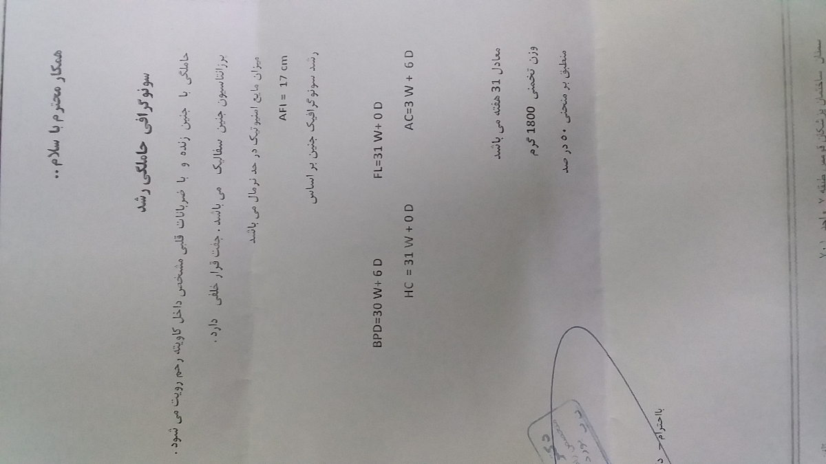وزن جنین در هفته ۳۰ و۳۱ چقدربایدباشه