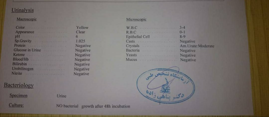 تفسیر ازمایش عفونت در بارداری