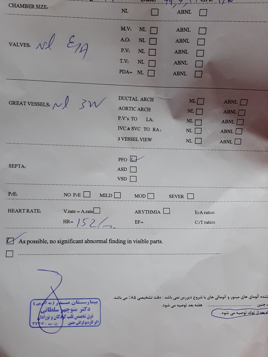 اکو قلب جنین تفسیر لطفا