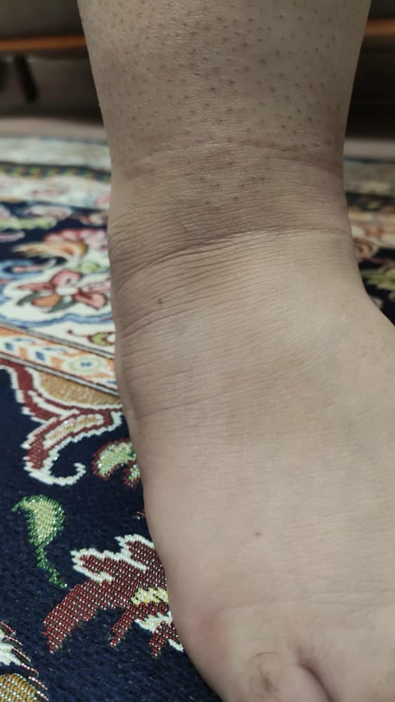 میشه لطفا جواب بدید میشه لطفا جواب بدید
