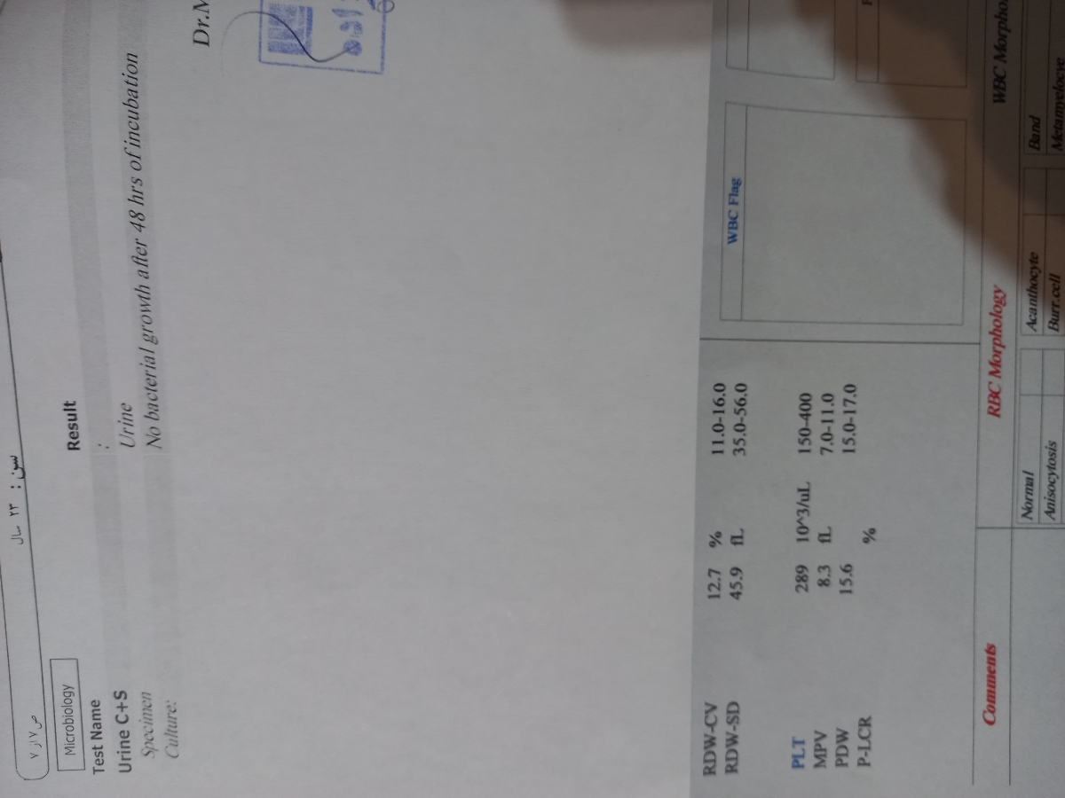 جواب ازمایشم چطور هست