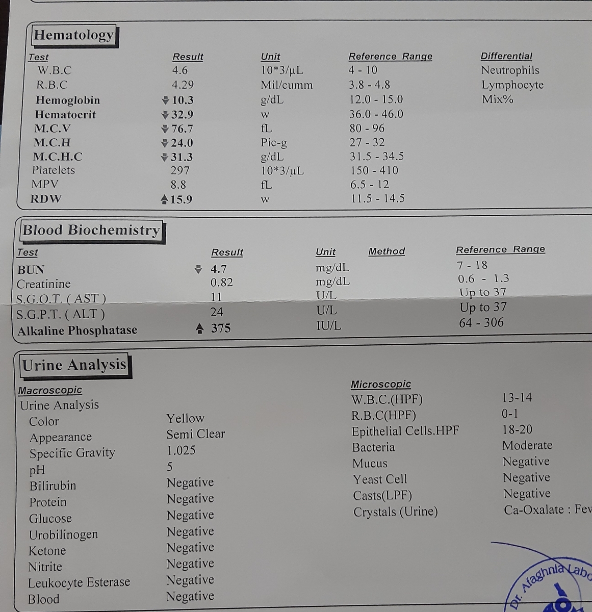 تفسیر ازمایش، هفته ۳۵ هستم