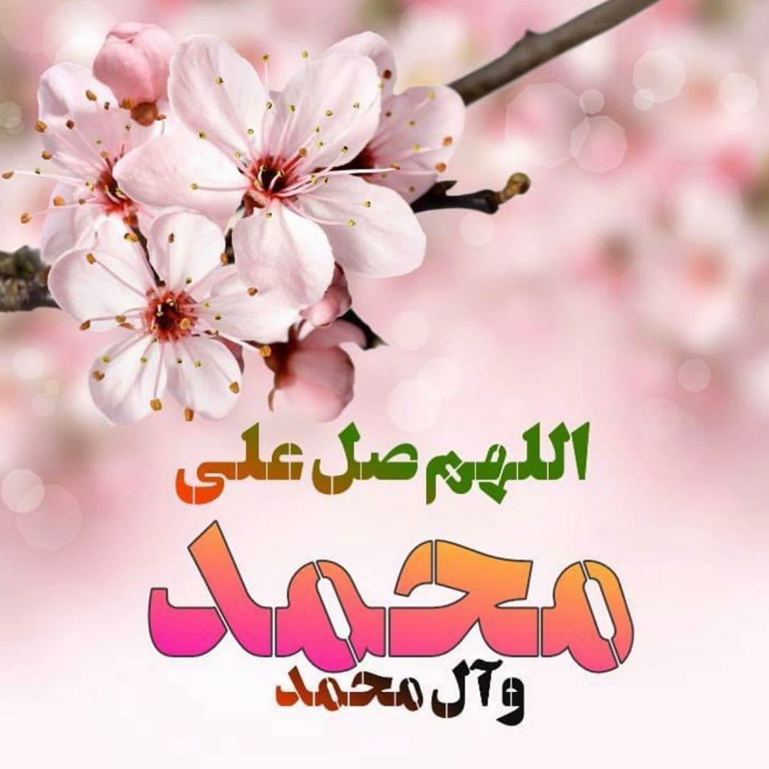 سلام خانوماتوروخدازودی جوابموبدیددارم میمیرم ازاسترس سلام خانوماتوروخدازودی جوابموبدیددارم میمیرم ازاسترس