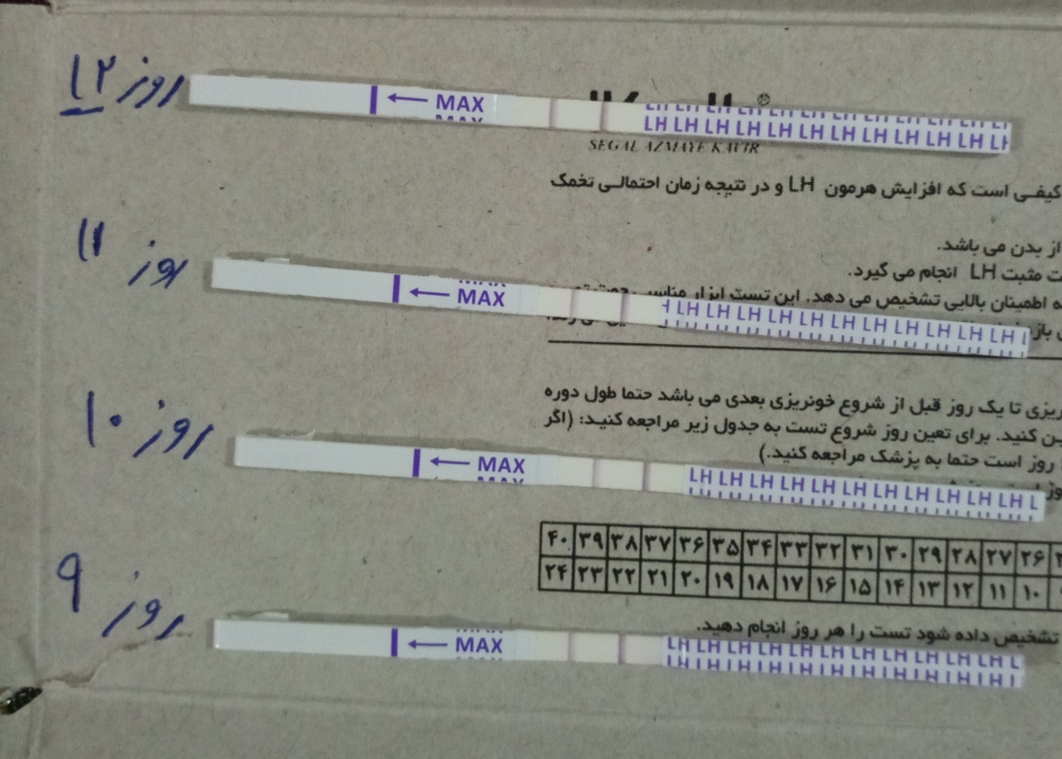 کدوم کیت پررنگ تره ؟؟؟