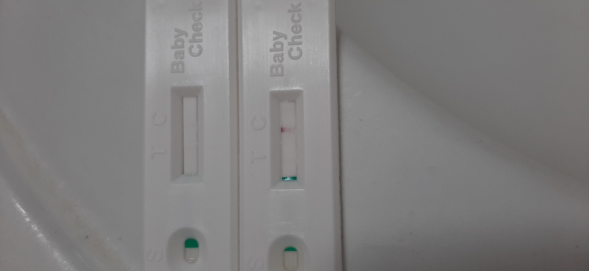 بچه ها یه لحظه میاین بیبی چک های منو نگاه کنین