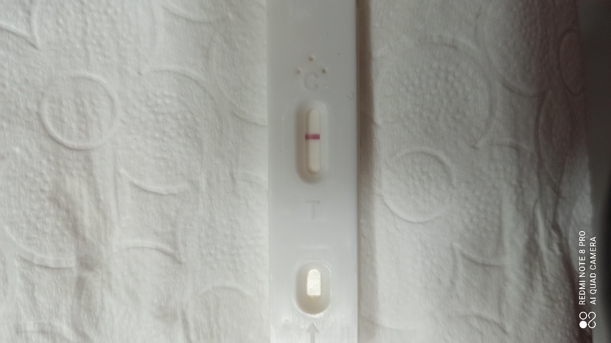 بی بی چک ویور و هاله