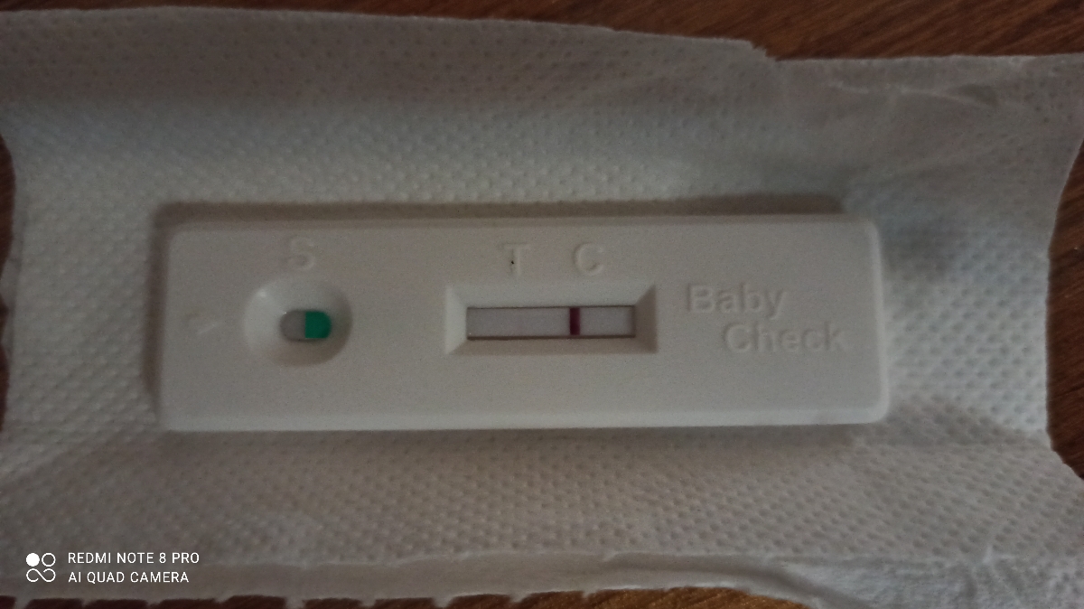 بی بی چک ویور و هاله