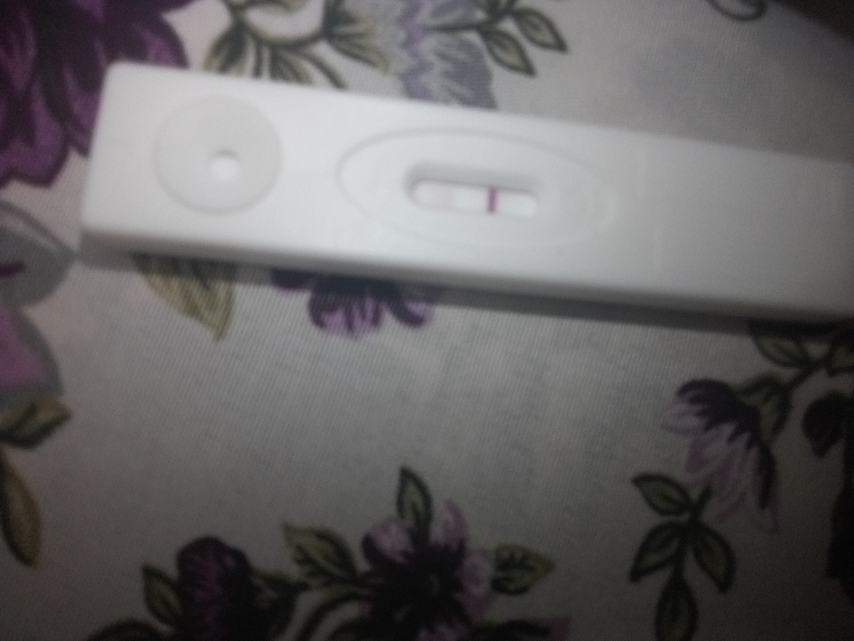 بی بی چک ویور و هاله