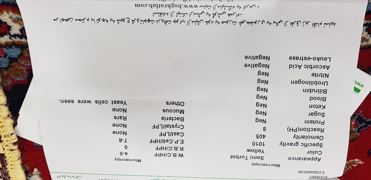 میشه ازمایش منو‌تفسیر‌ کنید ممنون🌹